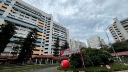 Blk 112 Bukit Purmei Road (Bukit Merah), HDB 4 Rooms #526024931